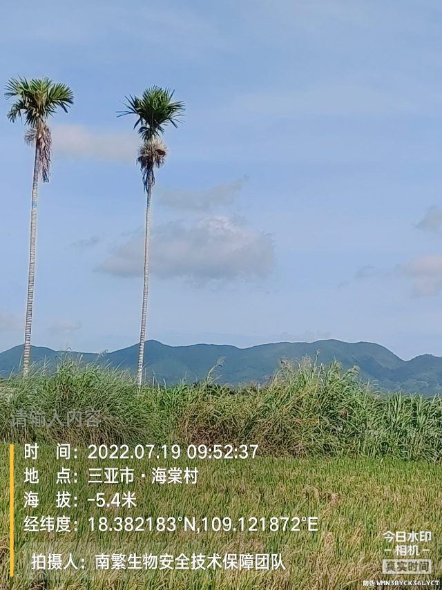 请输入内容…