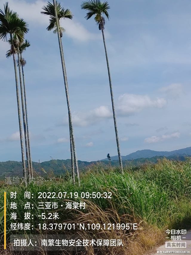 请输入内容…