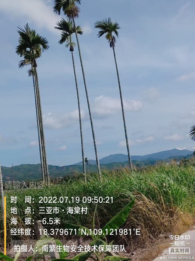 请输入内容…