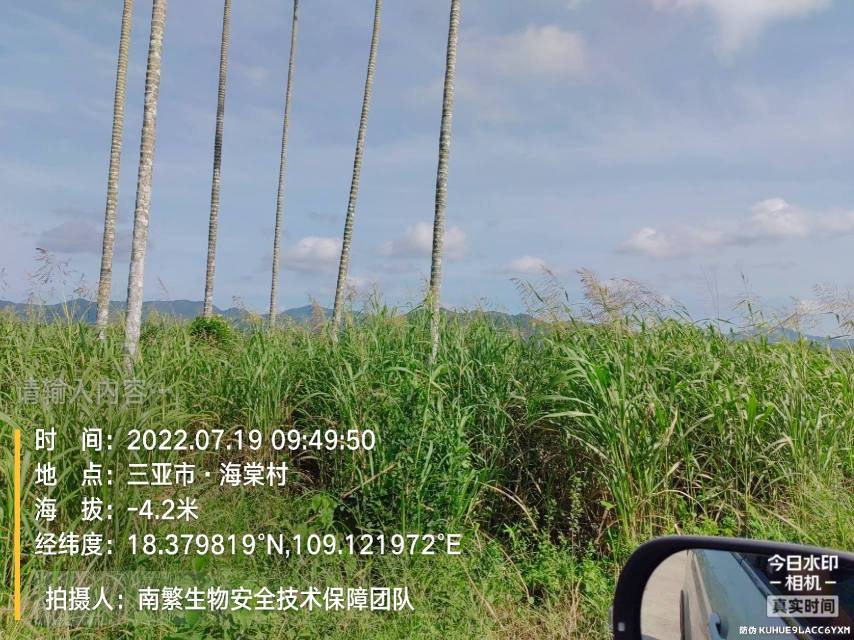 请输入内容…