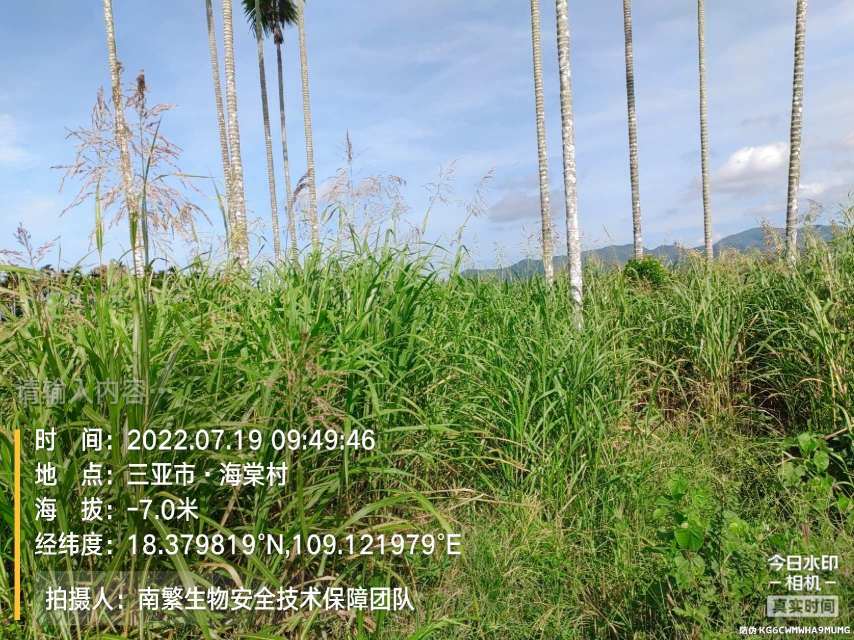 请输入内容…