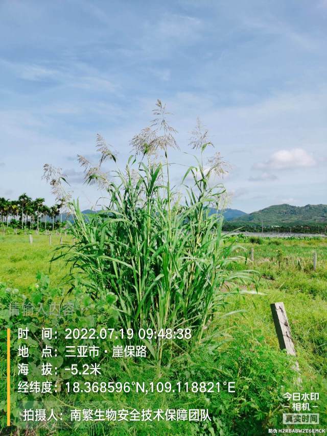 请输入内容…