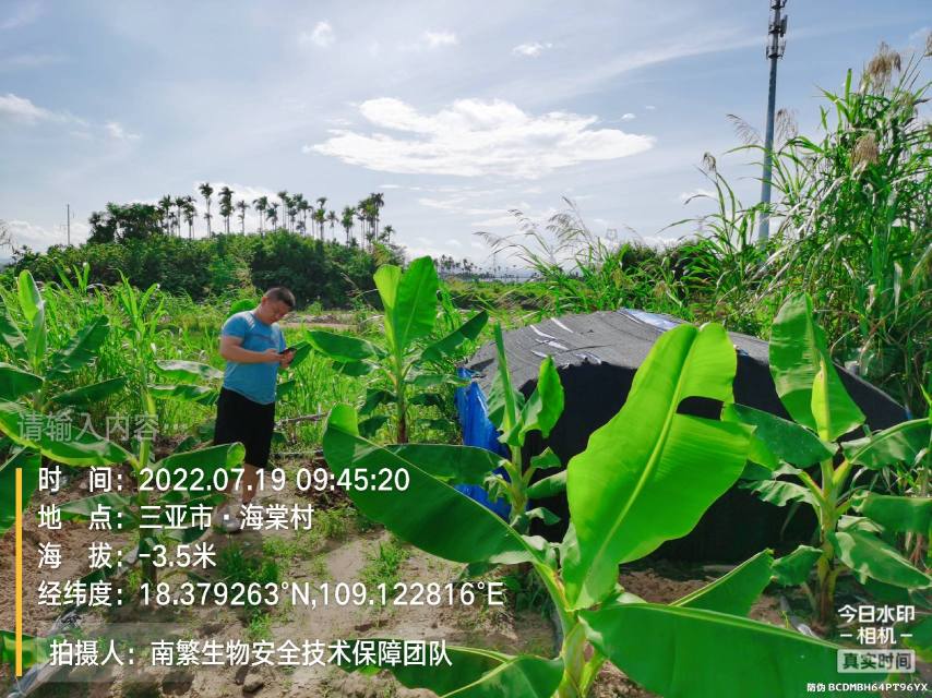 请输入内容…