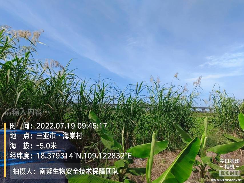 请输入内容…