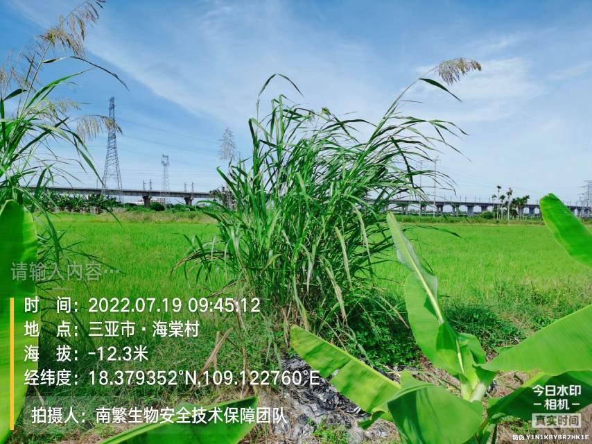 请输入内容…