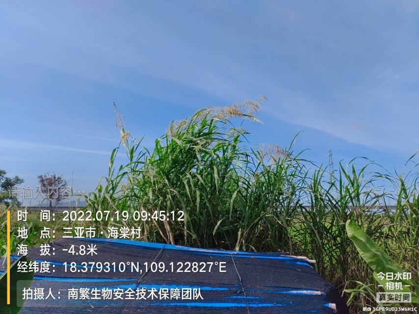 请输入内容…