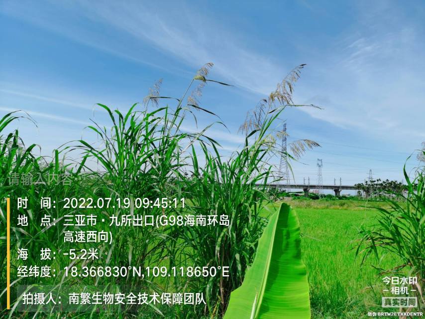 请输入内容…