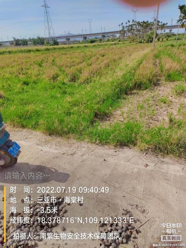 请输入内容…
