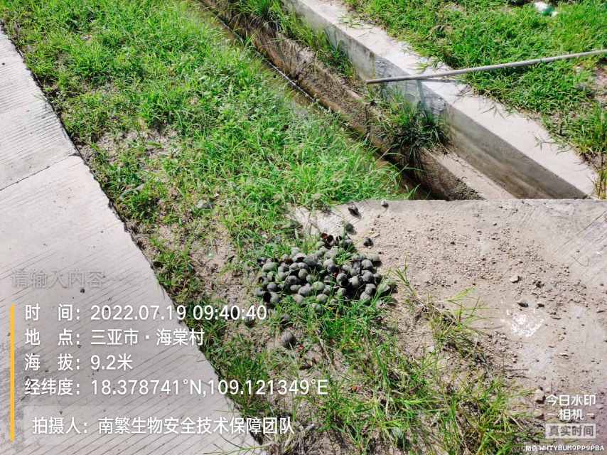 请输入内容…