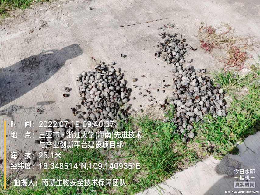 请输入内容…