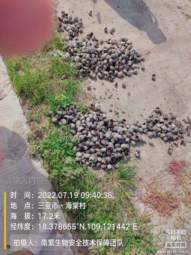 请输入内容…