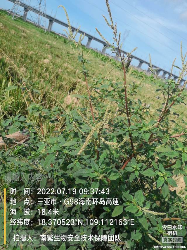 请输入内容…