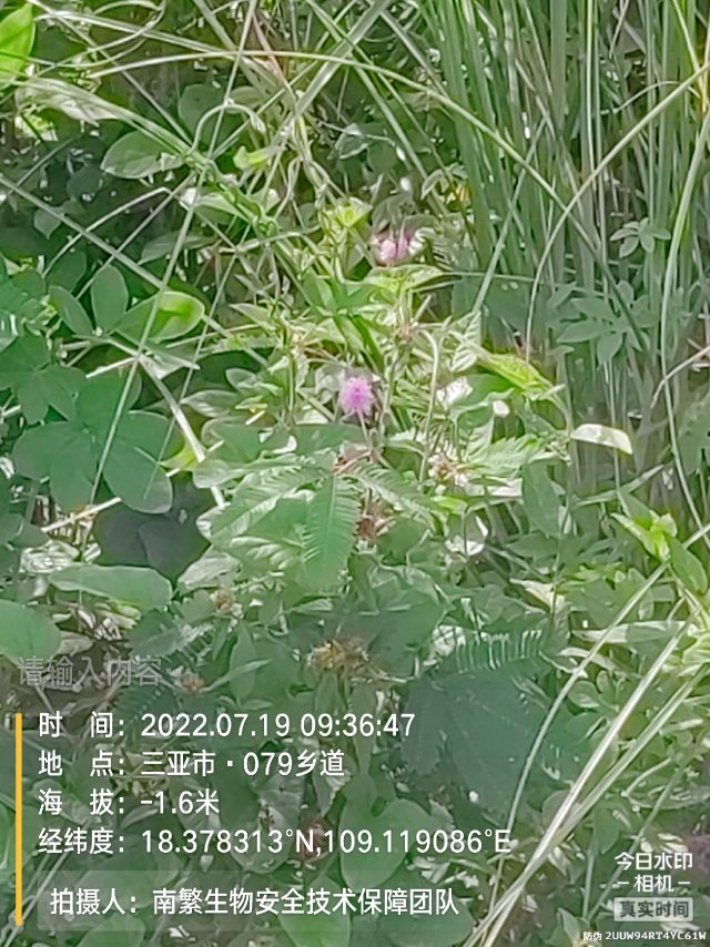 请输入内容…