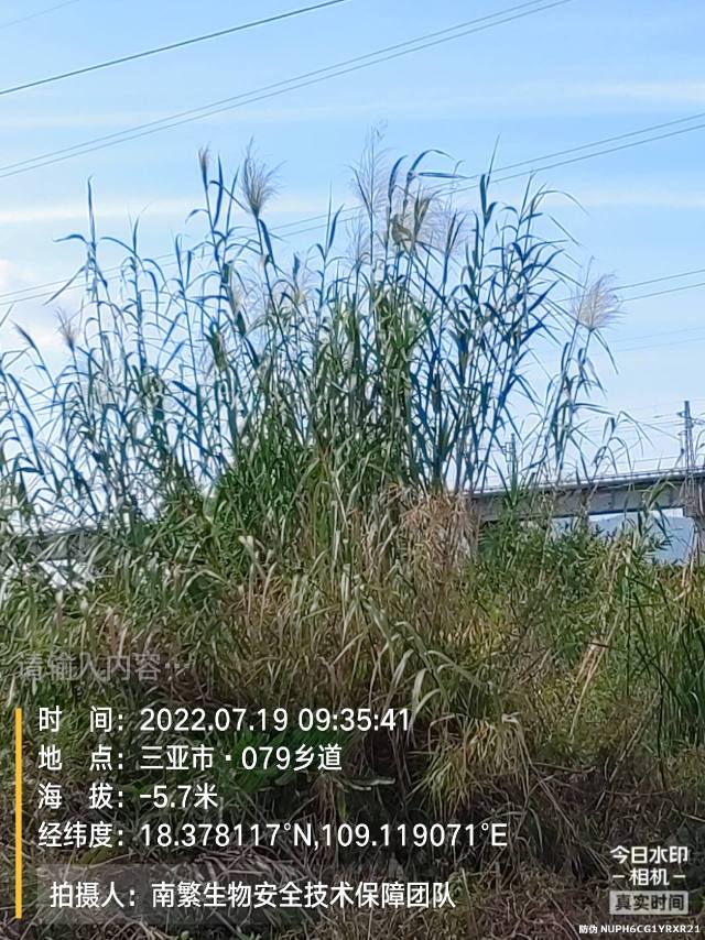 请输入内容…