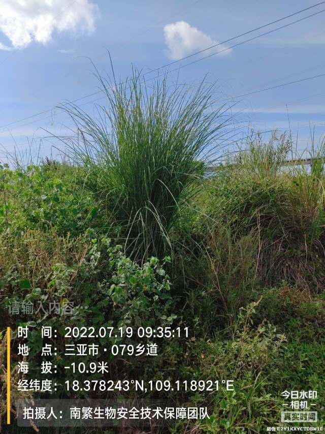 请输入内容…