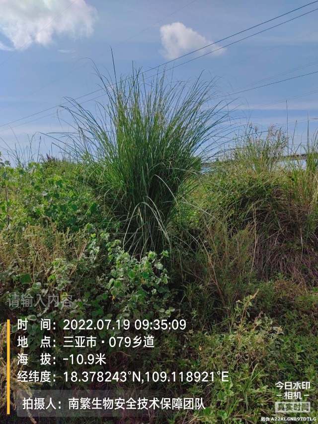 请输入内容…