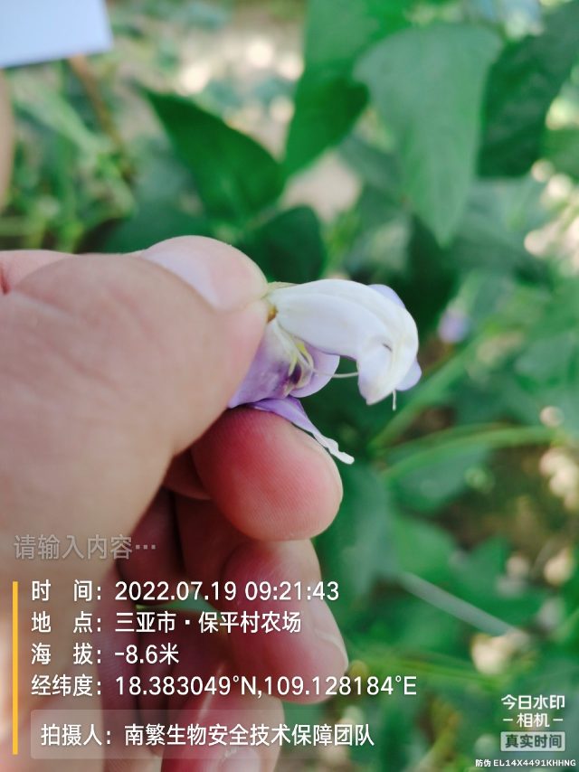 请输入内容…