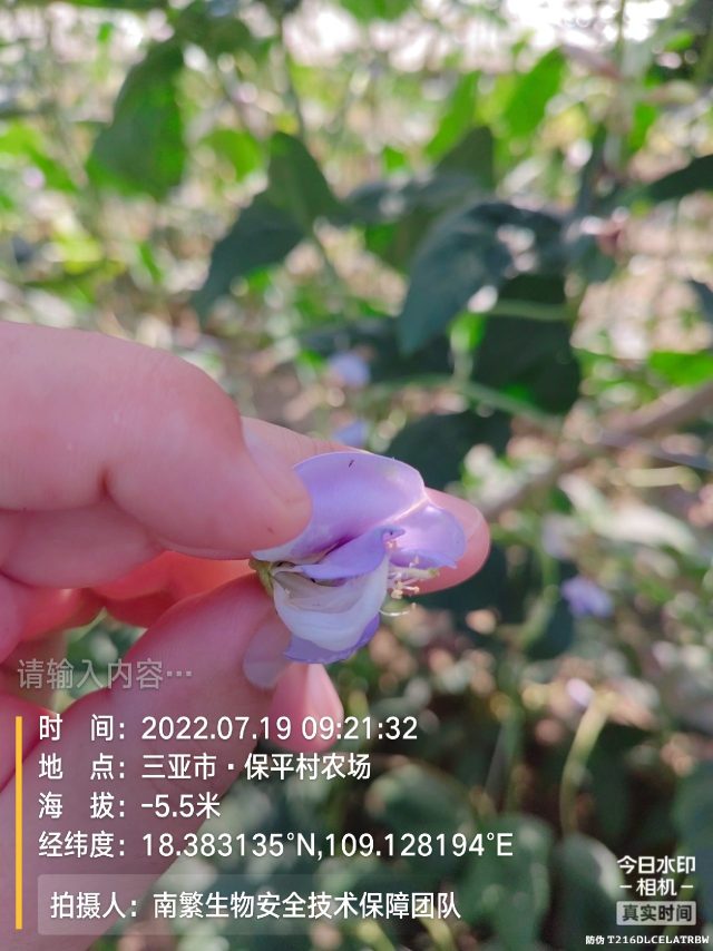 请输入内容…