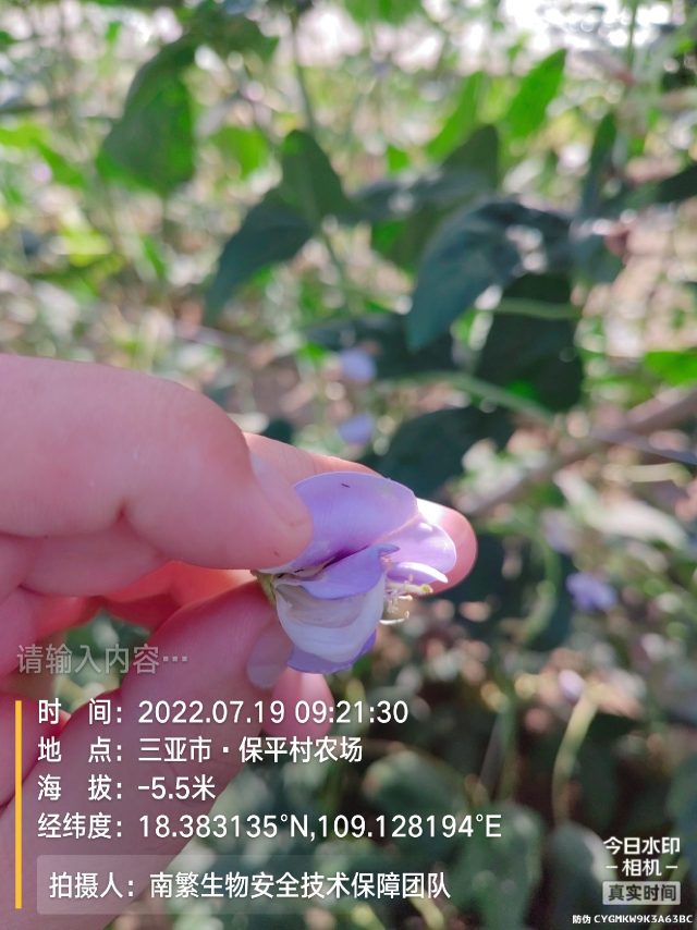 请输入内容…