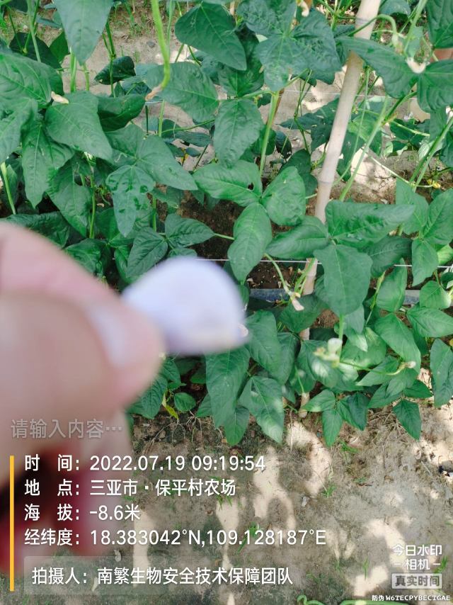 请输入内容…