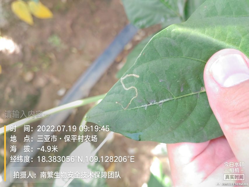 请输入内容…