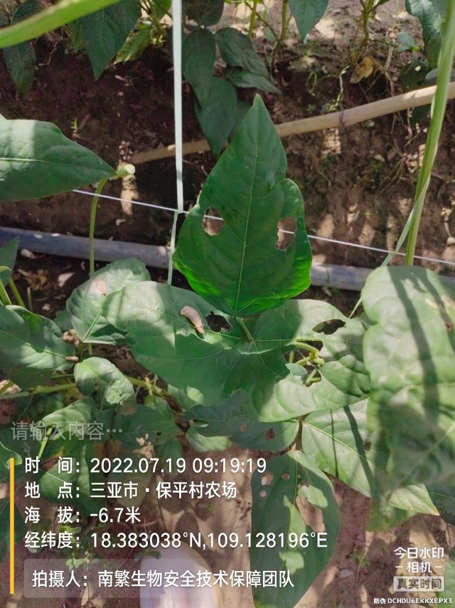 请输入内容…