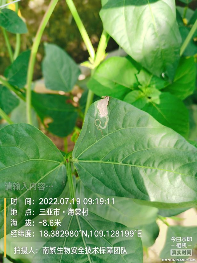 请输入内容…