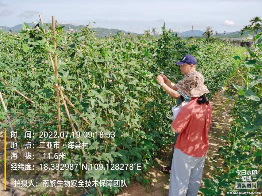 请输入内容…
