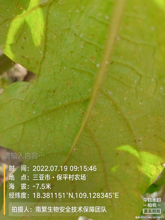 请输入内容…