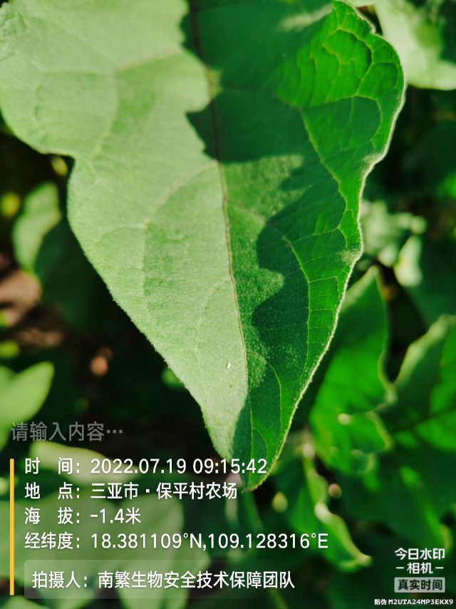 请输入内容…