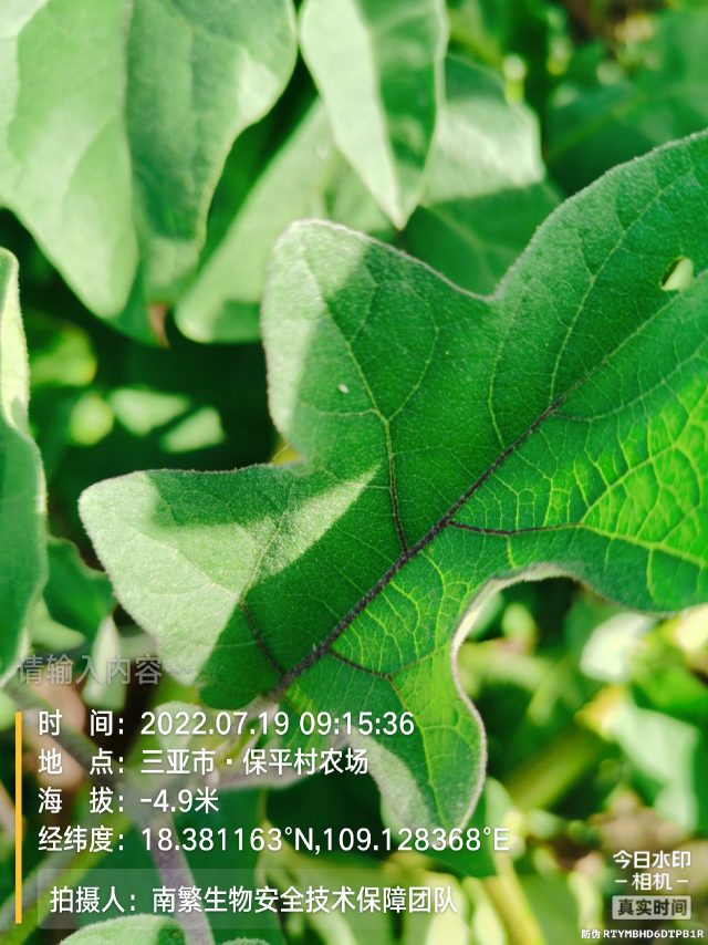 请输入内容…
