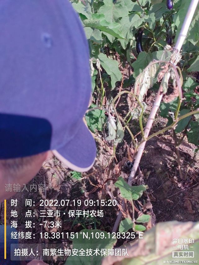 请输入内容…
