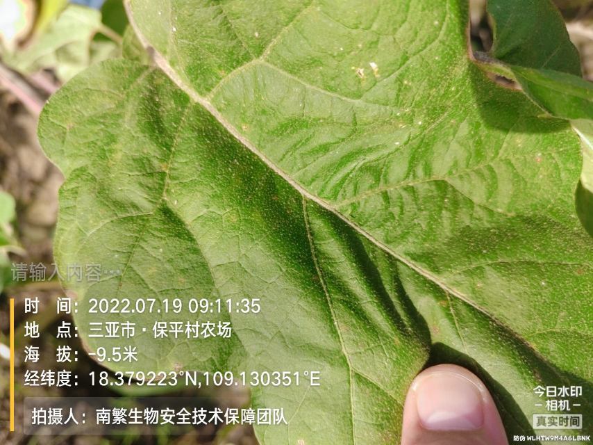 请输入内容…