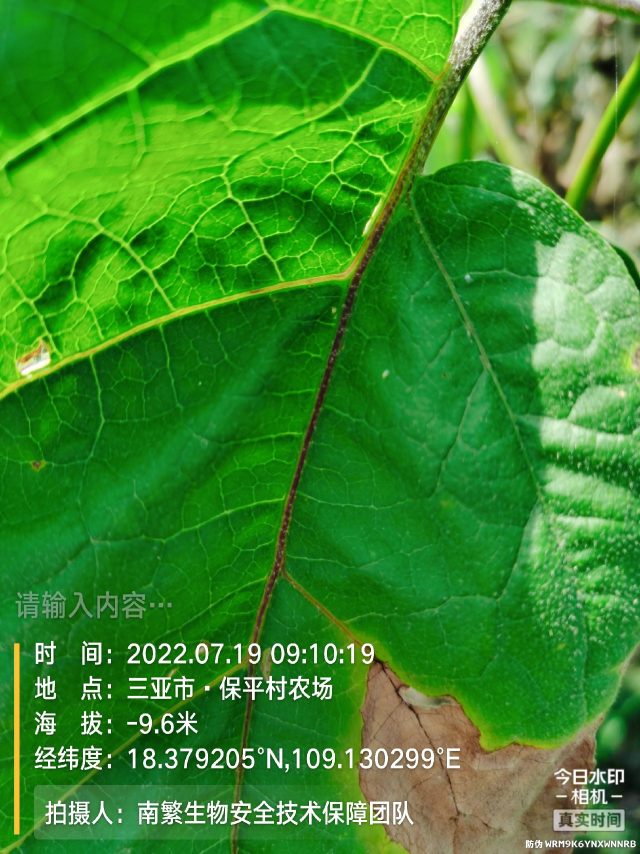 请输入内容…