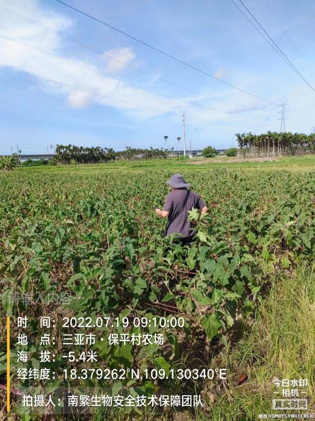 请输入内容…