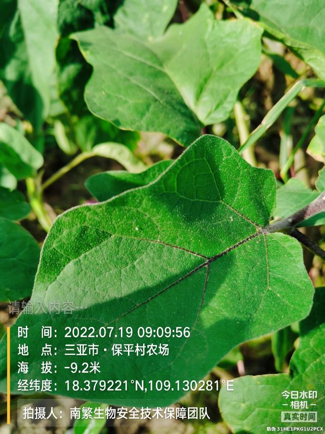 请输入内容…