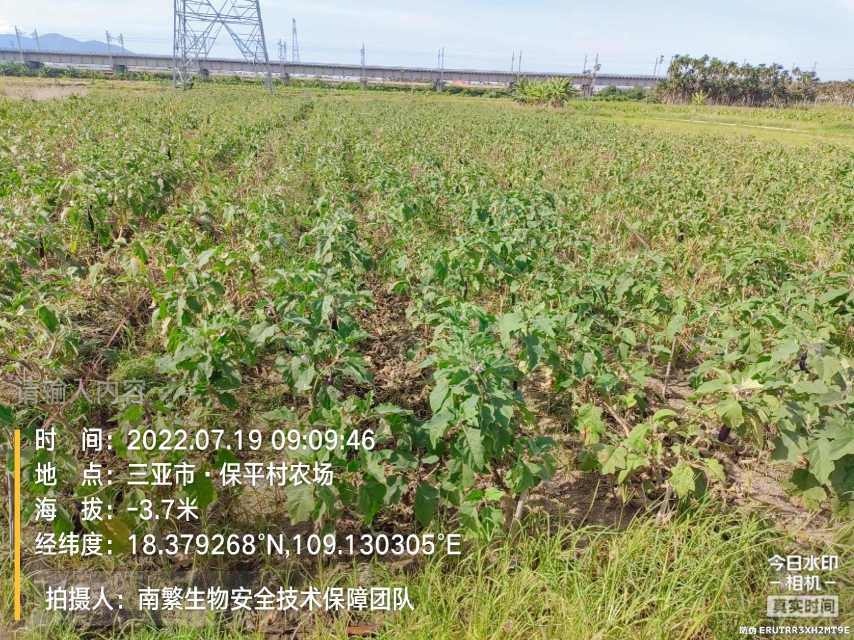 请输入内容…