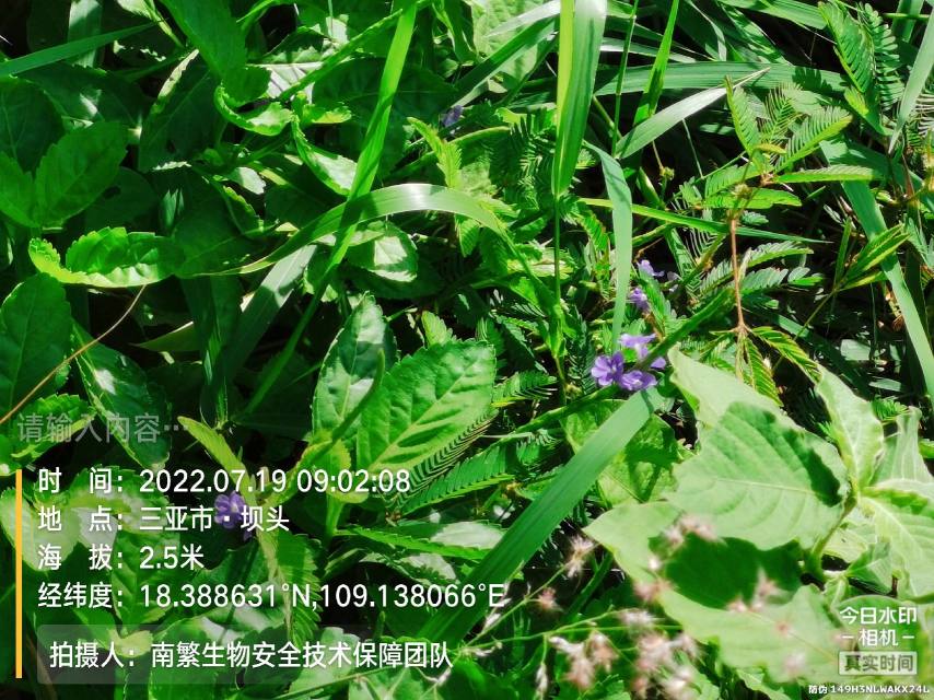 请输入内容…