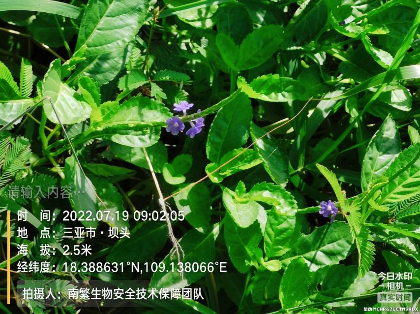 请输入内容…