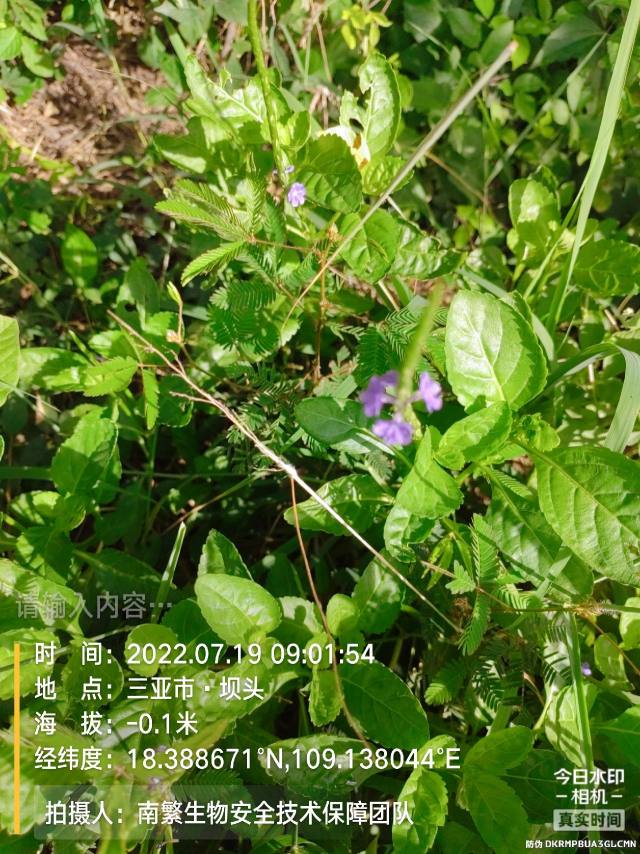 请输入内容…