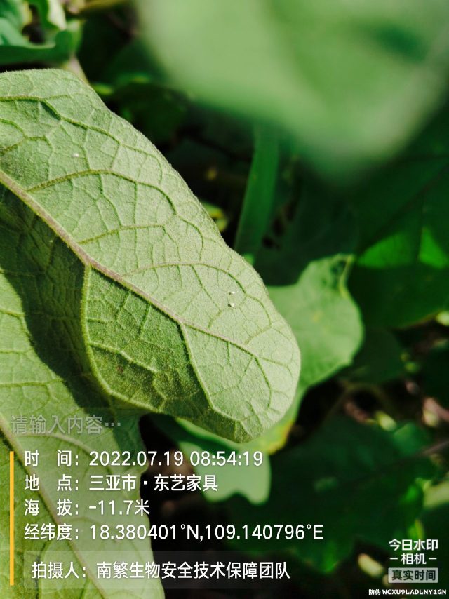 请输入内容…