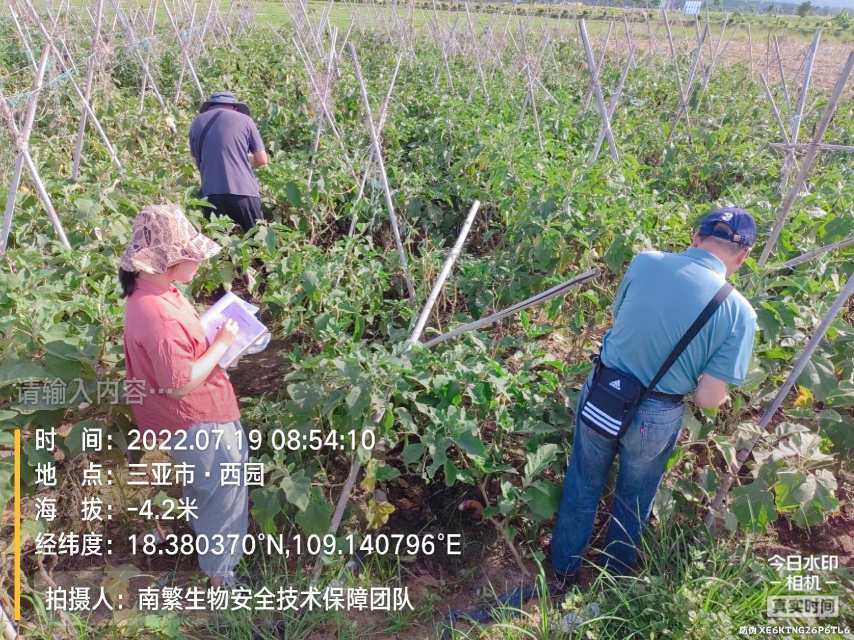 请输入内容…