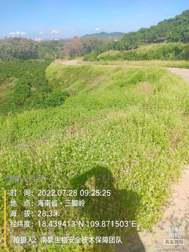 请输入内容…