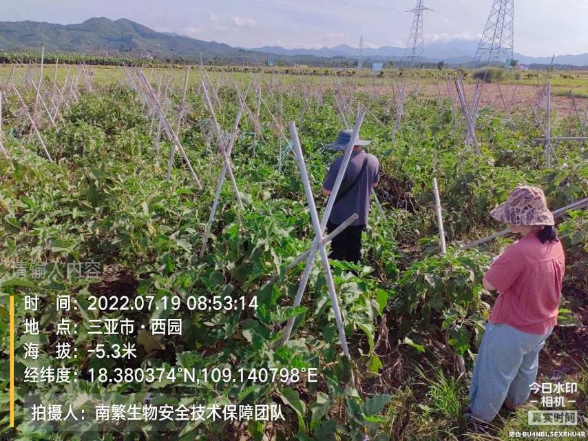 请输入内容…