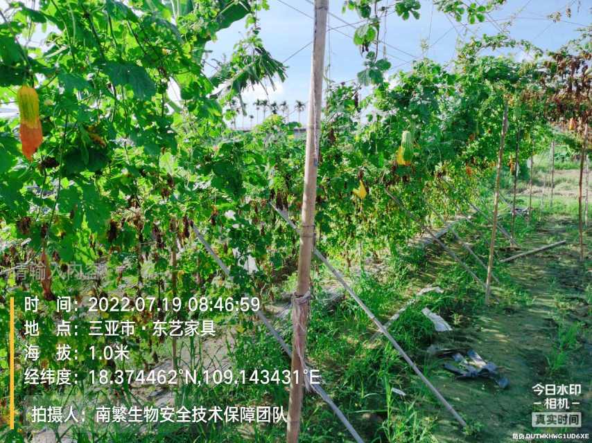 请输入内容…