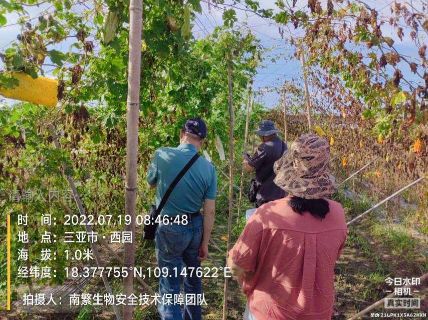 请输入内容…