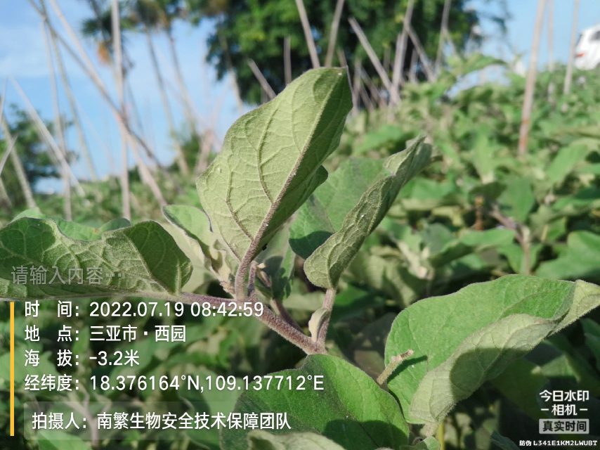 请输入内容…