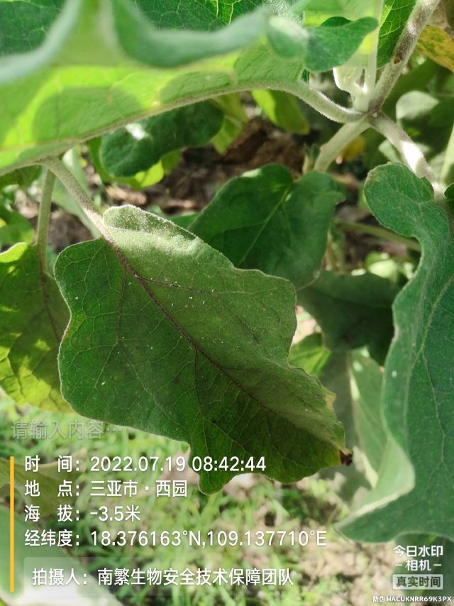 请输入内容…