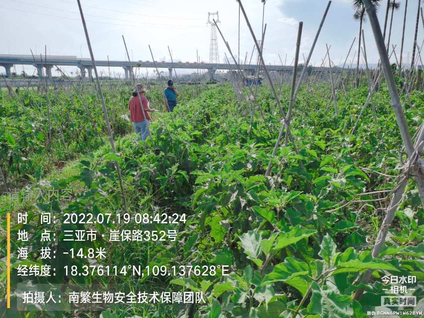 请输入内容…