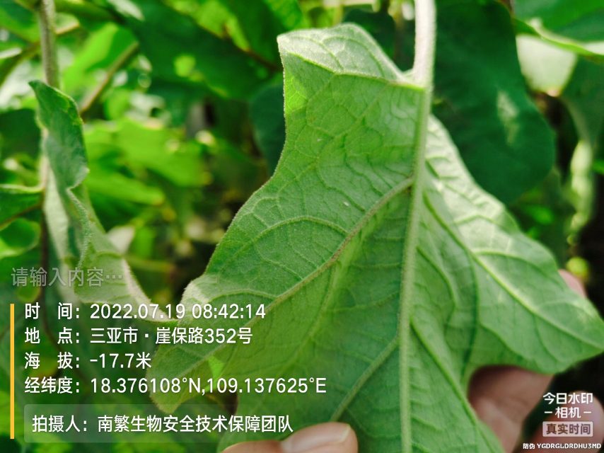 请输入内容…